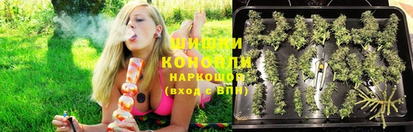 spice Няндома