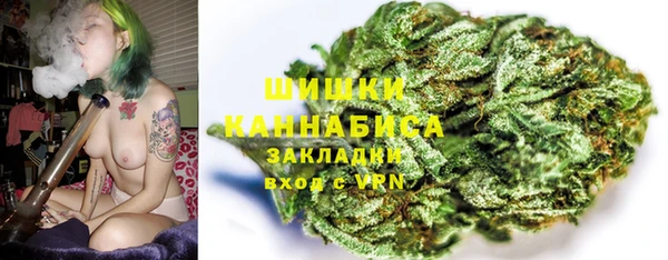spice Няндома